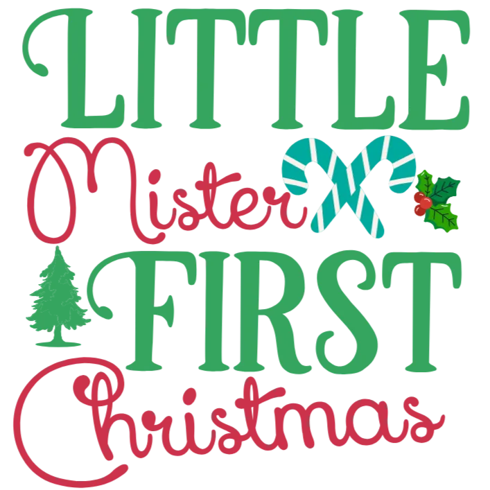 Little Mister First Christmas
