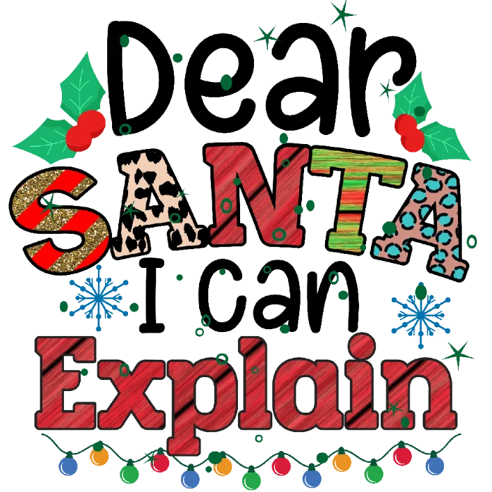 Dear Santa I Can Explain
