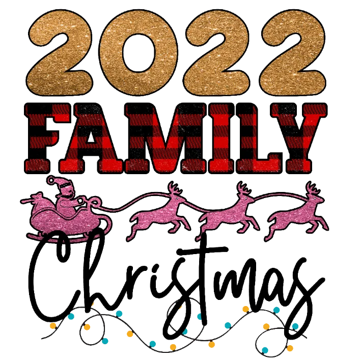 2022 Christmas Family T-Shirt