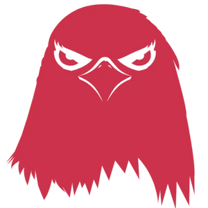 The Angry Bird