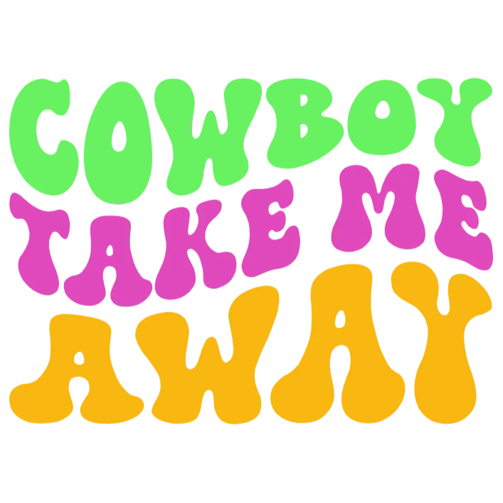 Cowboy Take Me Away