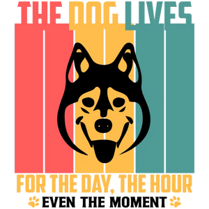 The Dog Lives For The Day, Even In The Moment