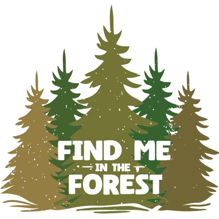 Find Me in the Forest