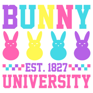Bunny University Student Apparel