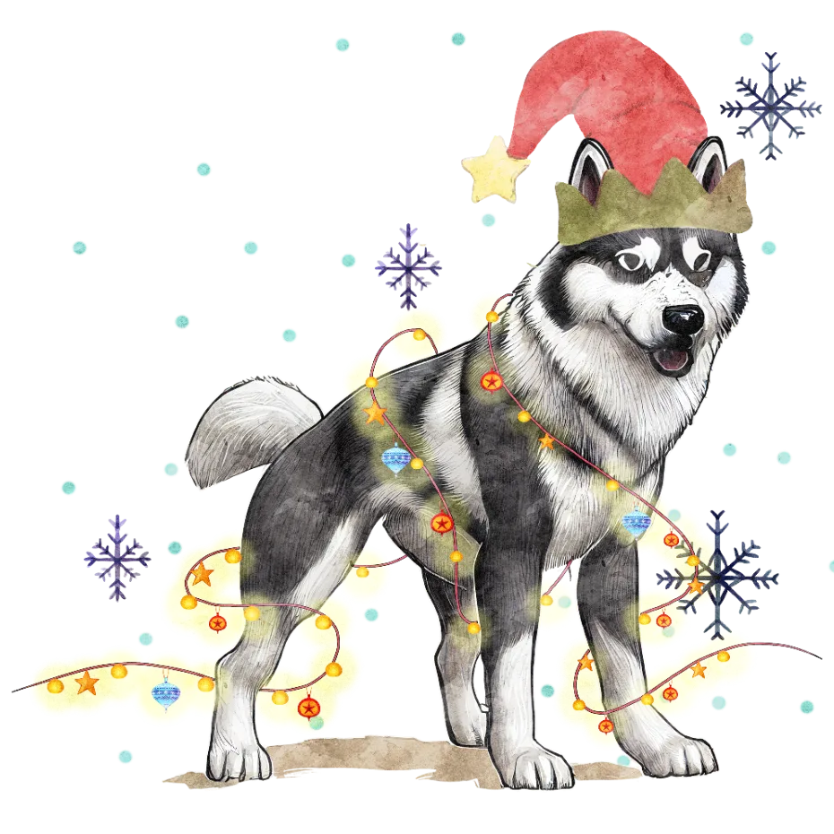 Holiday Husky Glow