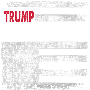 Trump Take America Back
