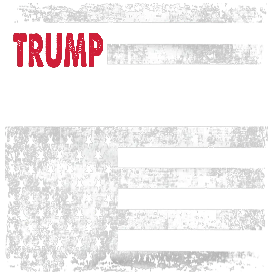 Trump Take America Back