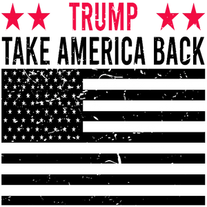 Trump Take America Back - Black USA Flag