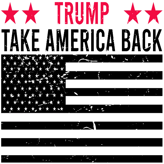 Trump Take America Back - Black USA Flag