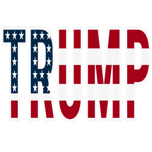 Trump Fix America Again 2024