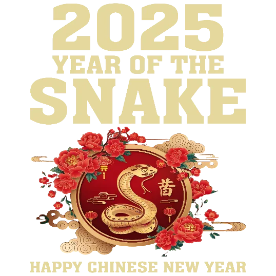 Year of the Snake 2025 Festive Banner