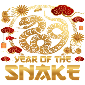 Year Of the Snake Celebrations