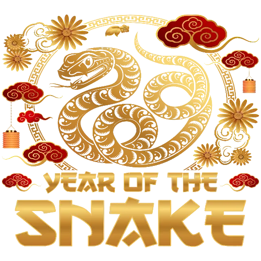 Year Of the Snake Celebrations