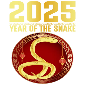 2025 Year Of The Snake Design