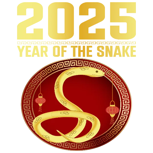2025 Year Of The Snake Design