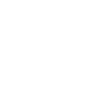 Year Of The Snake - Happy Chinese New Year