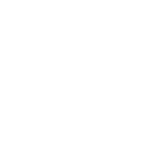 Year Of The Snake - Happy Chinese New Year