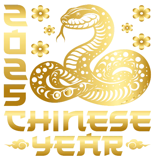 Chinese New Year 2025