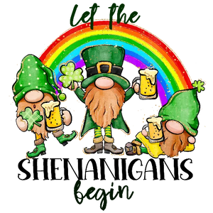 Let The Shenanigans Begin - Gnomes