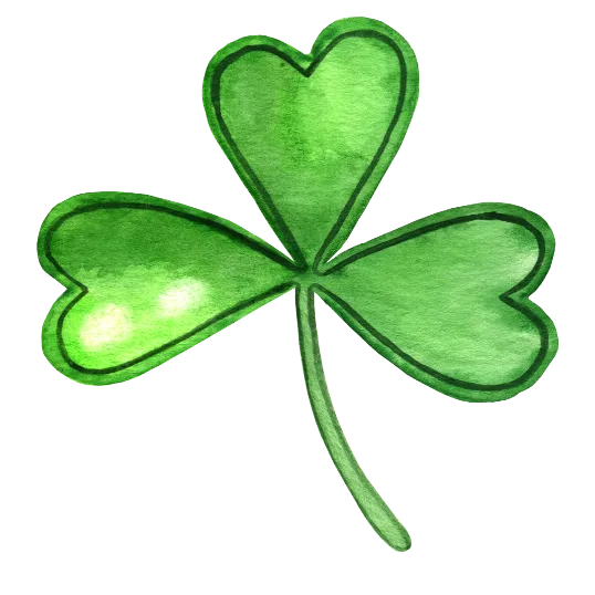 Three Leaf Clover Drawing