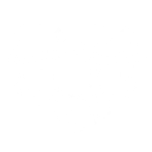 Valentine\'s Day Heart (White)
