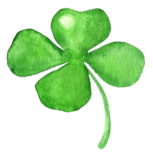 Four Leaf Clover
