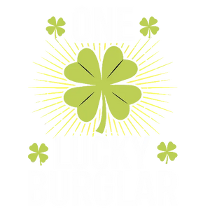 One Lucky Burglar
