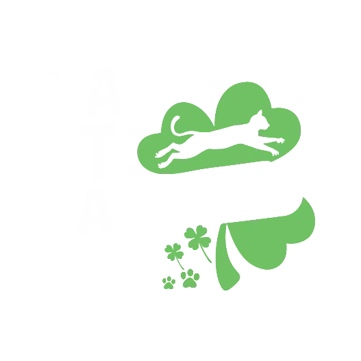 Happy St. Patrick's Day