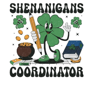 Shenanigans Co-ordinator