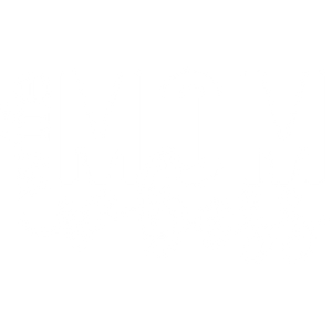 Wife Mom Boss