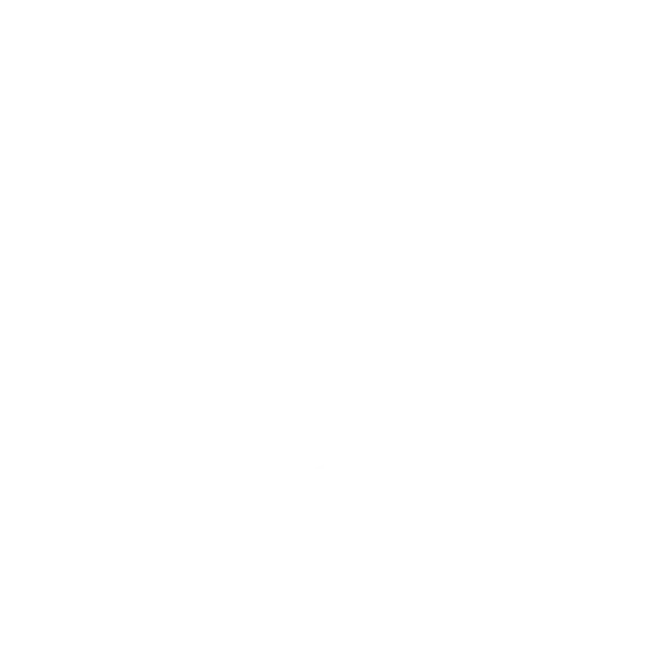 Wife Mom Boss