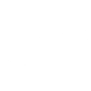 Magically Delicious